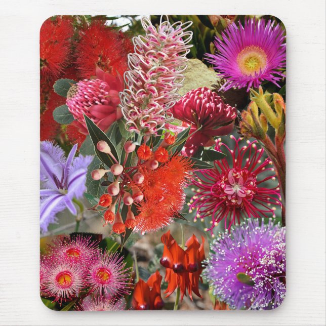 Australian Native Wild Flowers Mouse Pad (Front)