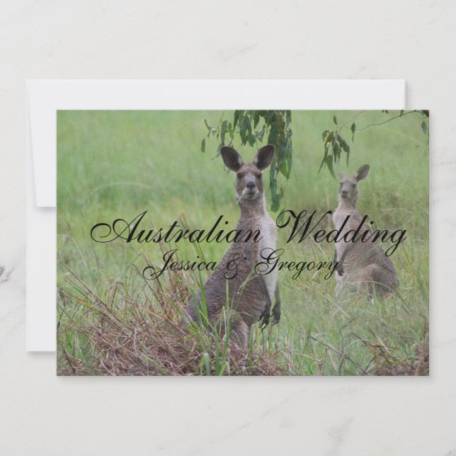 Australian Outback Kangaroos Wedding Invitations (Front)