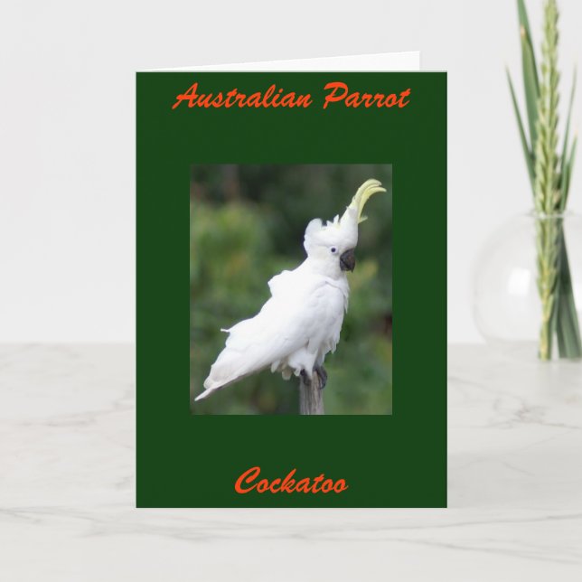 Australian Parrot, Cockatoo Card (Front)