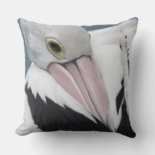 Australian pelican close up cushion