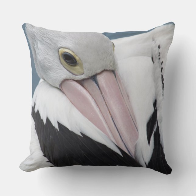 Australian pelican close up cushion (Front)