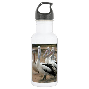 Australian Pelicans at Phillip Island 532 Ml Water Bottle