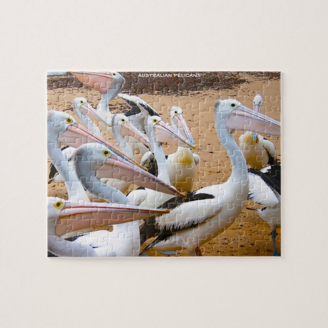 Australian Pelicans Jigsaw Puzzle (Horizontal)