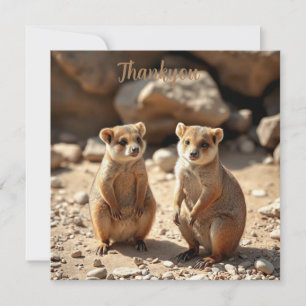 Australian Quokka Twins, Thank You Card
