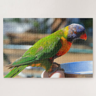 Australian rainbow lorikeet bird jigsaw puzzle