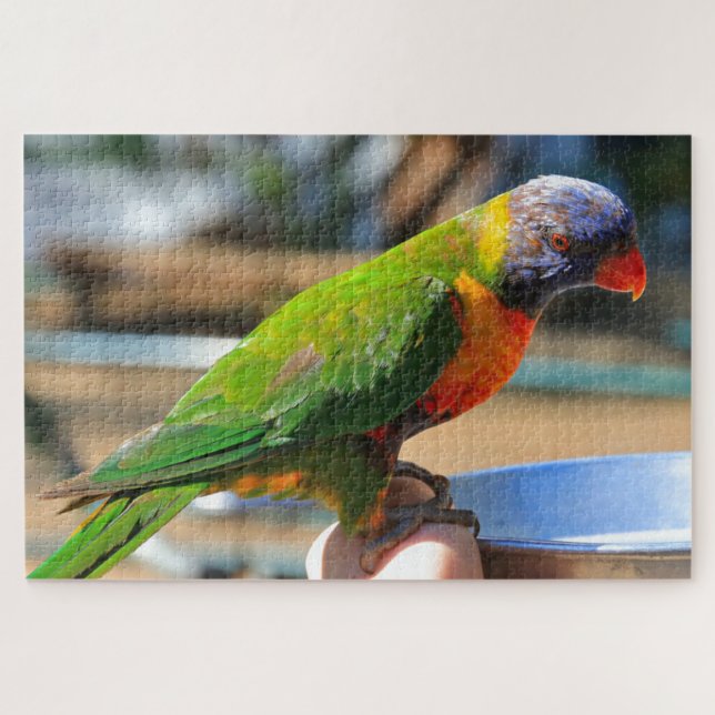Australian rainbow lorikeet bird jigsaw puzzle (Horizontal)