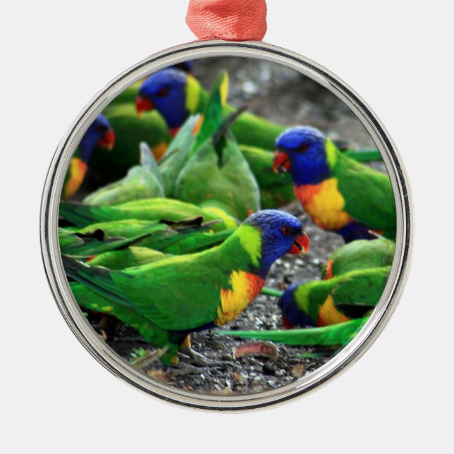 Australian Rainbow Lorikeet Birds Metal Tree Decoration (Front)