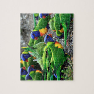 Australian Rainbow Lorikeets Jigsaw Puzzle