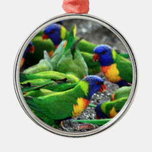 Australian Rainbow Lorikeets Metal Tree Decoration