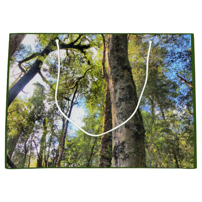 Australian Rainforest Eucalyptus Gum Trees Large Gift Bag (Front)