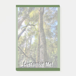 Australian Rainforest Eucalyptus Gum Trees Post-it Notes