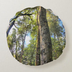 Australian Rainforest Eucalyptus Gum Trees Round Cushion