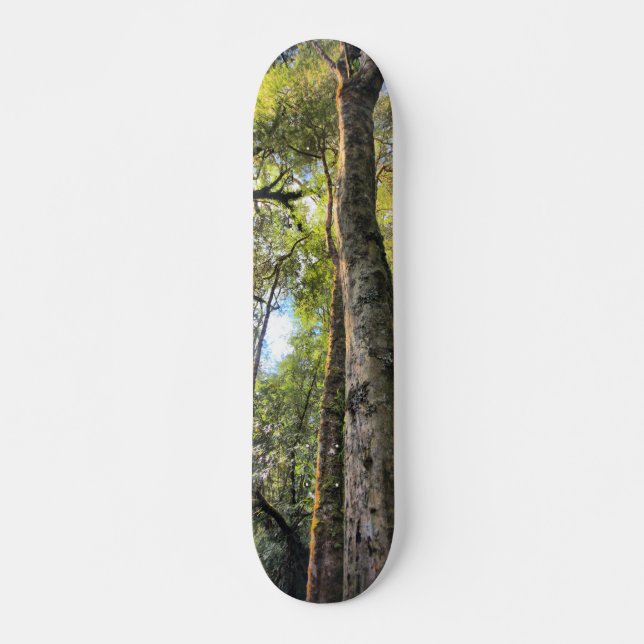 Australian Rainforest Eucalyptus Gum Trees Skateboard (Front)