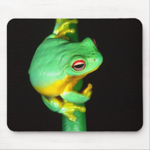 Australian Red Eye Treefrog, Litoria chloris, Mouse Pad