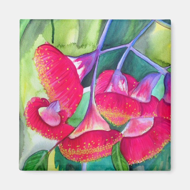 Australian Red flowering Gumnuts watercolor art Magnet (Front)