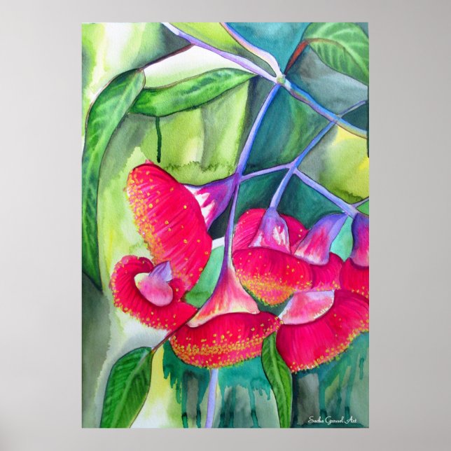 Australian Red flowering gumnuts watercolor art Poster (Front)