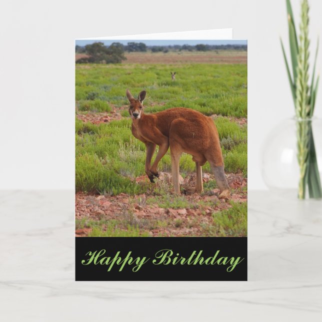 Australian red kangaroo blank birthday card (Front)