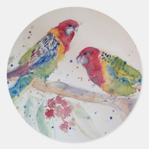Australian Rosella Parrot Watercolour art Classic Round Sticker