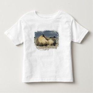Australian Sea Lions, Neophoca cinerea), Toddler T-Shirt