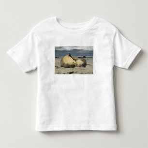 Australian Sea Lions, Neophoca cinerea), Toddler T-Shirt