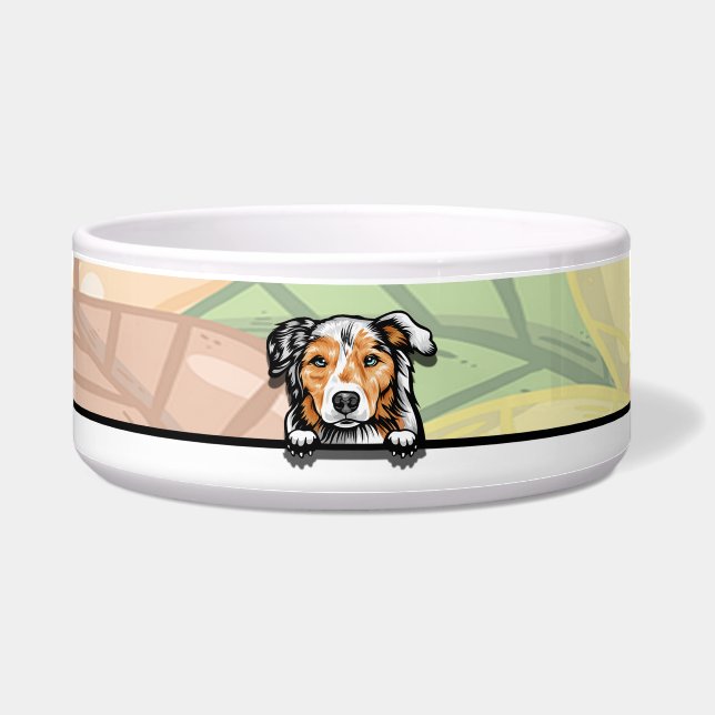 Australian sheherd, food or drink (Front)