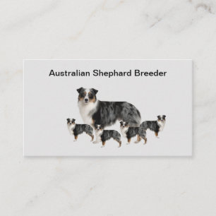 Australian Shephard Dog Breeder Business Cards