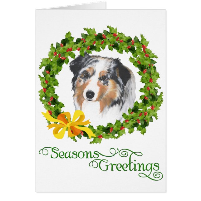 Australian Shepherd (Front)