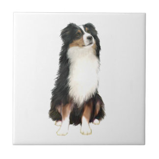 Australian Shepherd (A) - Tri Colour Tile