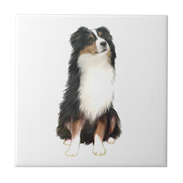 Australian Shepherd (A) - Tri Colour Tile (Front)