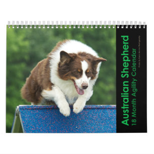 Australian Shepherd Agility 18 Month Wall Calendar