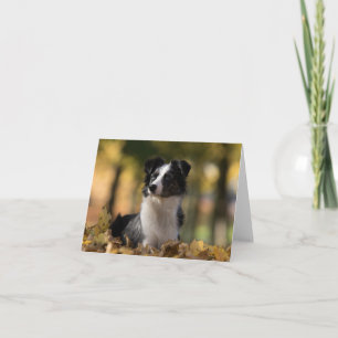 Australian Shepherd Aussie Puppy Dog  Hello Love Card