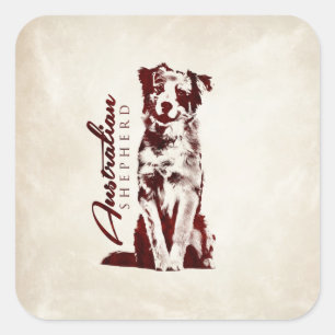 Australian Shepherd Aussie Square Sticker