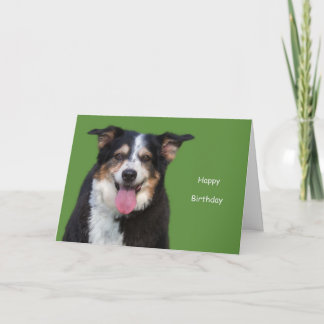 Australian Shepherd Birthday by Focus for a Cause Card