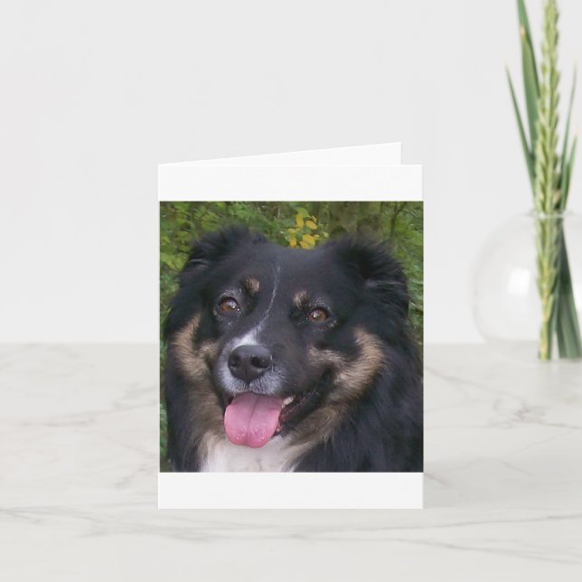australian shepherd black tri thank you card (Front)
