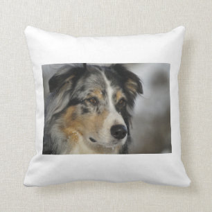 australian-shepherd-blue merle 2.png cushion