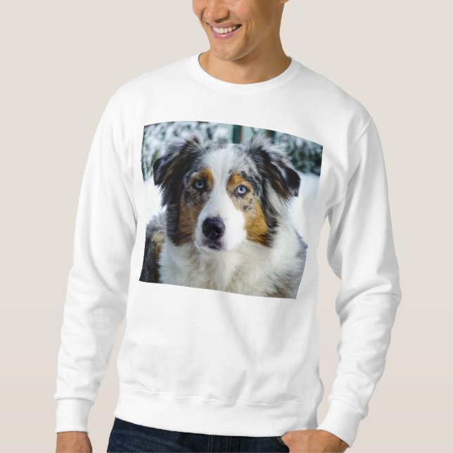 australian shepherd blue merle 3 sweatshirt (Front)