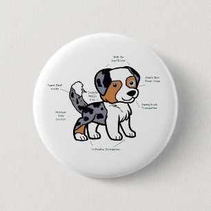 Australian Shepherd Blue Merle Funny Anatomy 6 Cm Round Badge