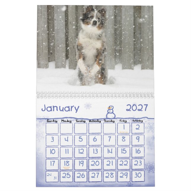 Australian Shepherd Calendar (Jan 2027)