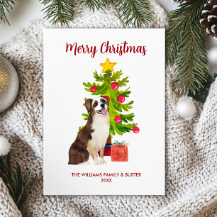 Australian Shepherd Christmas Card
