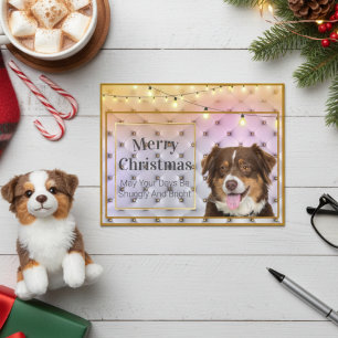 Australian Shepherd Christmas Diamond Pattern Holiday Postcard