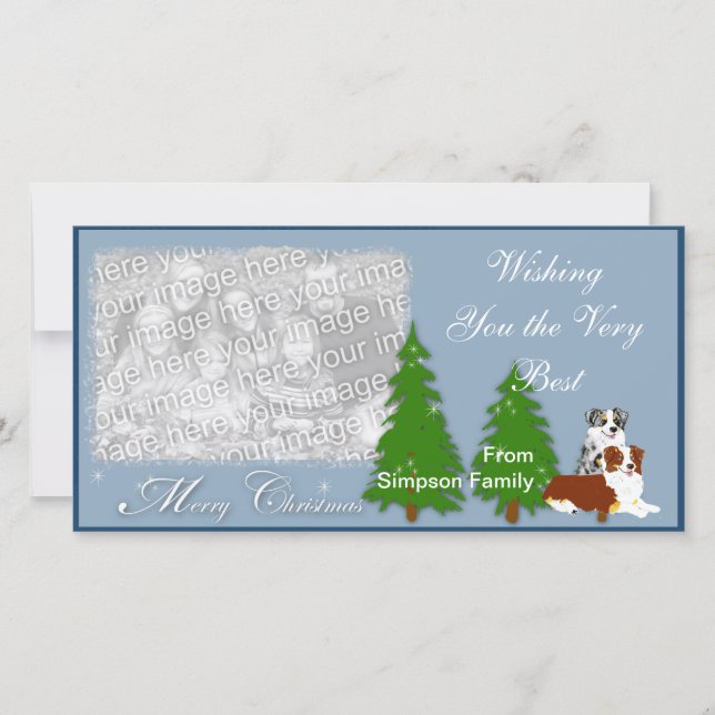 Australian Shepherd Christmas Holiday Card (Front)