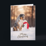 Australian Shepherd Christmas Snowman Holiday Card<br><div class="desc">A beautiful Christmas card featuring an Australian Shepherd sitting in fresh winter snow beside a cheerful little snowman wrapped in a red scarf. The warm golden winter light and soft falling snow create a peaceful holiday moment that dog lovers will instantly recognize. Perfect for anyone who shares their life with...</div>