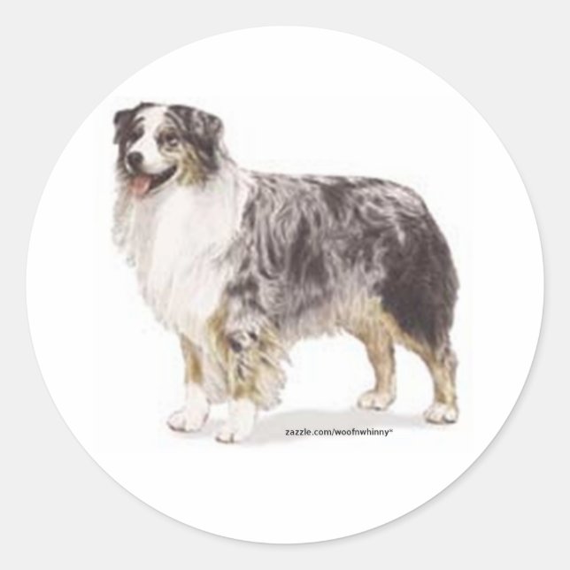 Australian Shepherd Classic Round Sticker (Front)