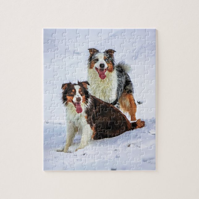 Australian shepherd couple dogs jigsaw puzzle (Vertical)