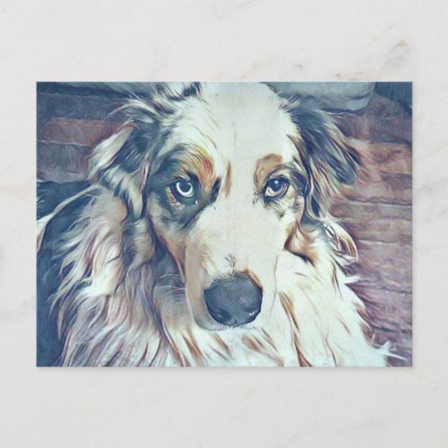 Australian Shepherd Digital Art Postcard (Front)