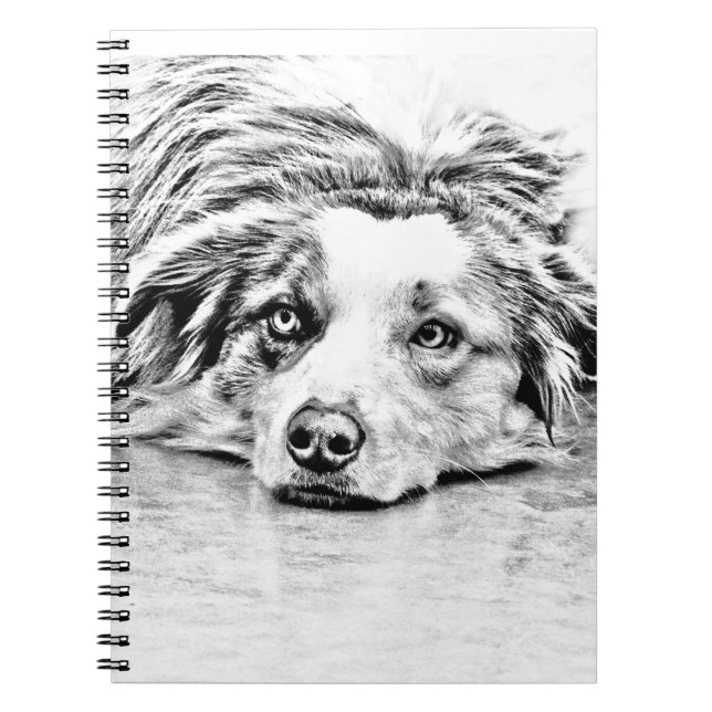 Australian Shepherd dog art Spiral Notebook (Front)