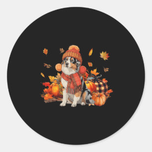 Australian Shepherd Dog Fall Scarf Leopard Pumpkin Classic Round Sticker