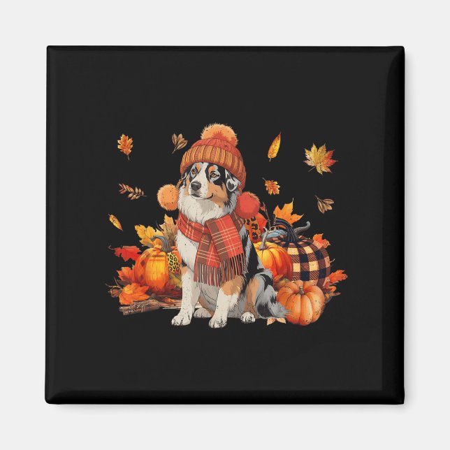 Australian Shepherd Dog Fall Scarf Leopard Pumpkin Magnet (Front)