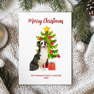 Australian Shepherd Dog Family Christmas  Holiday Card