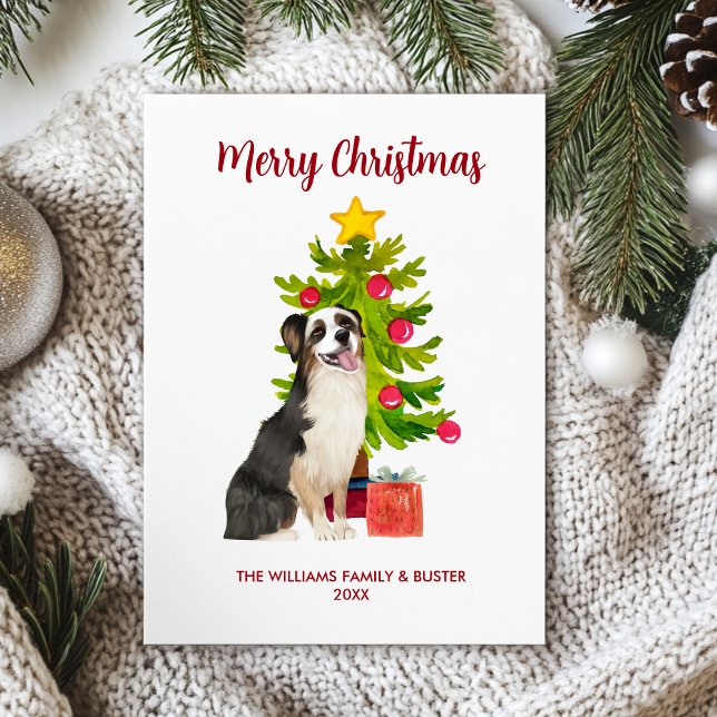 Australian Shepherd Dog Family Christmas  Holiday Card (Creator Uploaded)